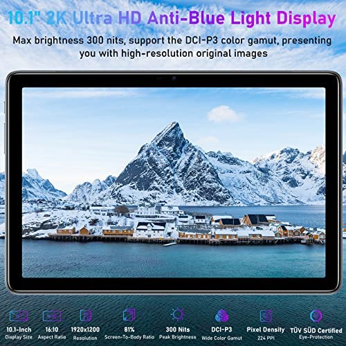 DOOGEE T10 Tablet 10.1 FHD+ 15GB RAM 128GB ROM 4G LTE WiFi 8300mAh Batería  (Gris) - SECURCCTV