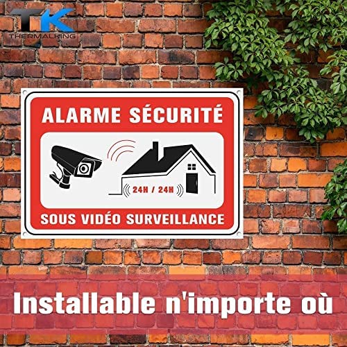 Señalética Alarma Video Vigilancia 30x20cm