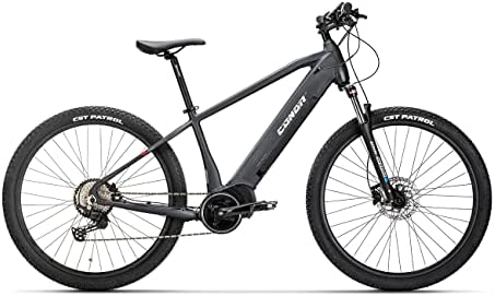 Conor Bicicleta ELECTRICA Borneo E-MTB 29" 11s, Adultos Unisex, Gris Oscuro, XL 530mm