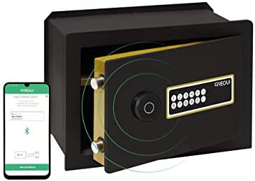 Arregui AWA 221750 - Caja Fuerte Inteligente para enmarcar, Smart Safe, Apertura electrónica con código de gestión Mediante aplicación móvil, Compatible con Amazon Alexa, 32 x 42 x 24,5 cm, 17 litros