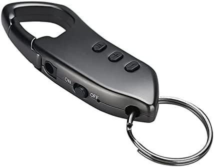 Grabadora de Audio Digital Lychee, grabadora de Audio USB Profesional portátil con Reproductor de MP3, grabadora de Conferencia estéreo HD Recargable - Gris Plateado (16 GB)
